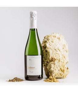 Valdobbidene Docg - Sui Lieviti Brut Nature